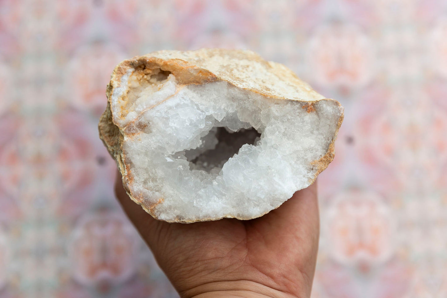 Clear Quartz Geode #3 - Premium Crystals + Gifts from Clarity Co. - NZ's Favourite Online Crystal Shop