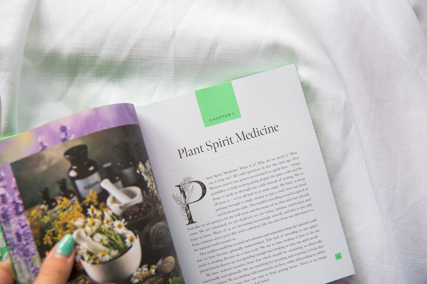 Plant Spirit Medicine - Nicola McIntosh - Premium Crystals + Gifts from Clarity Co. - NZ's Favourite Online Crystal Shop