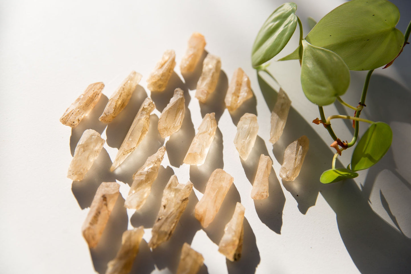 Natural Citrine Rough - Premium Crystals + Gifts from Clarity Co. - NZ's Favourite Online Crystal Shop