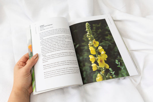 The Everyday Herbalist - Jane Wrigglesworth