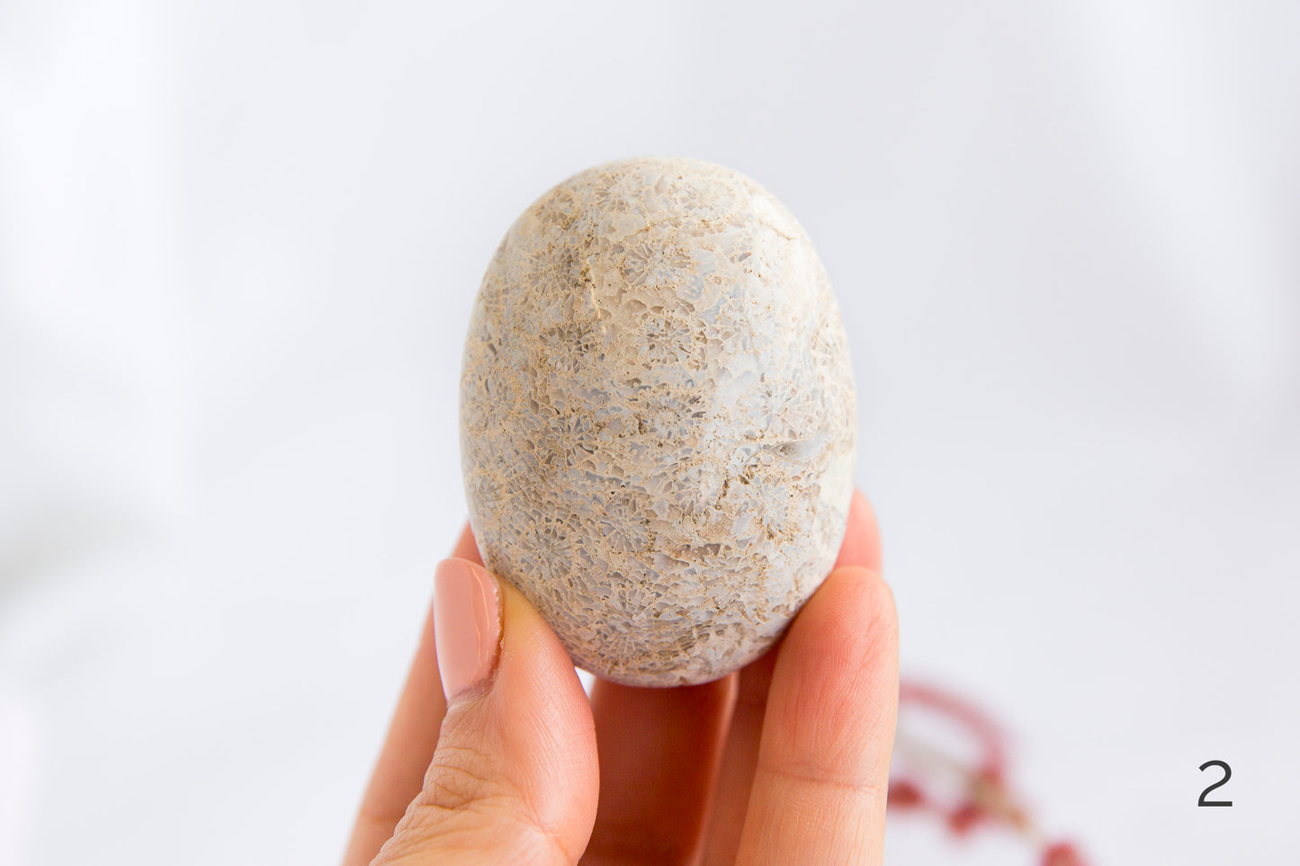 Agatized Coral Palmstones