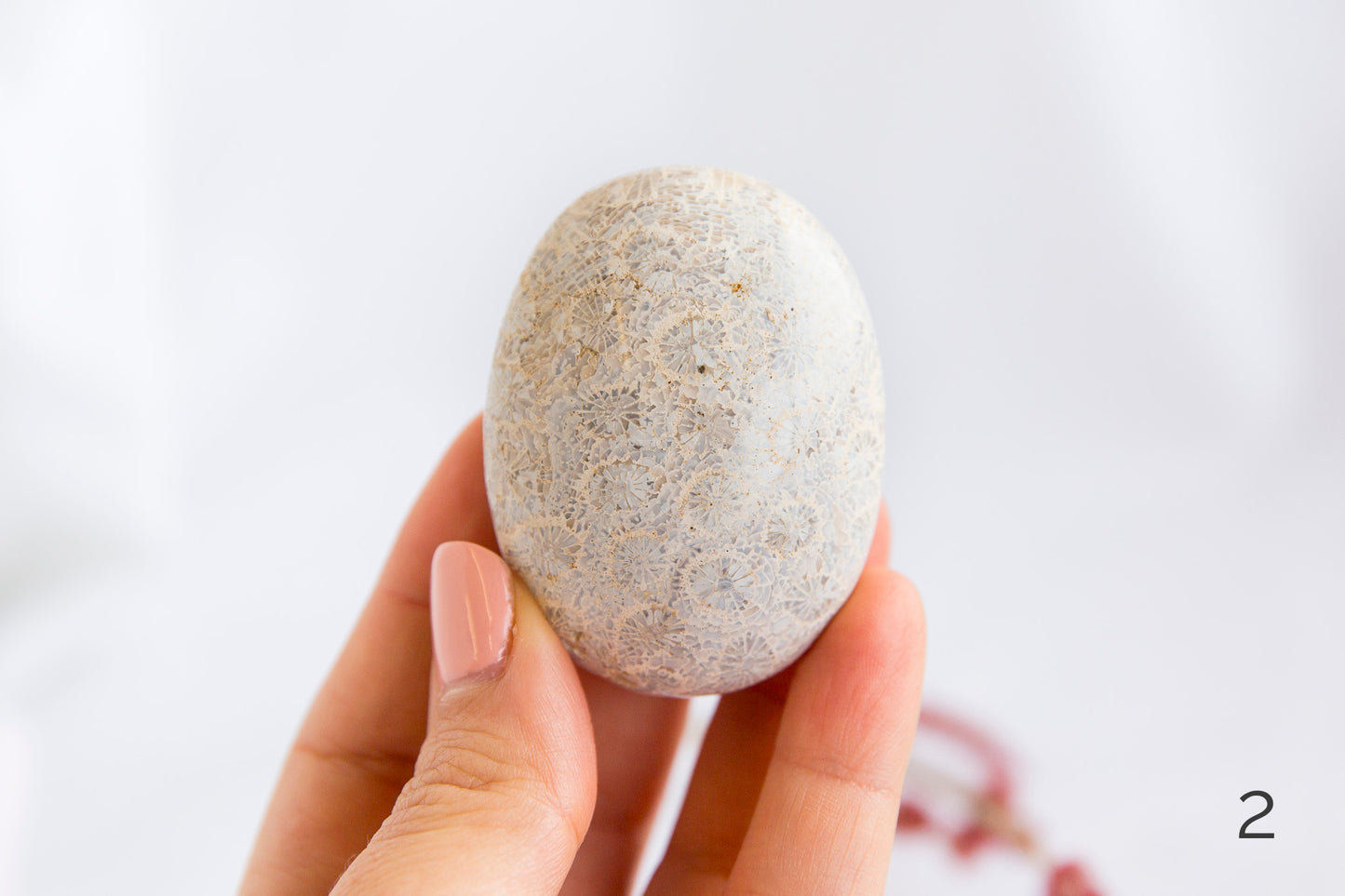 Agatized Coral Palmstones