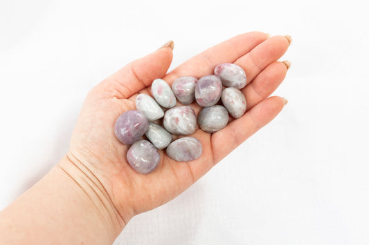 Hand holding a small collection of gray and pink stones against a white background