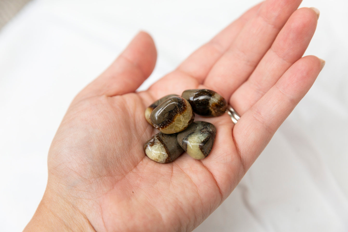 Hand holding five septarian crystal tumblestones against a white background