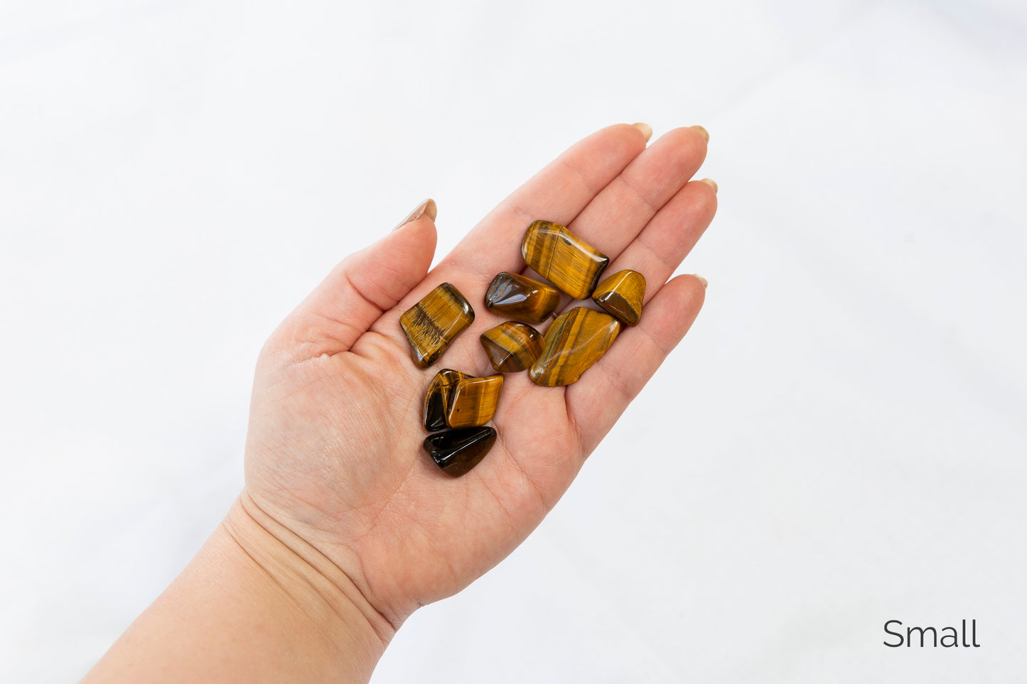 Hand holding small tiger's eye stones against a white background