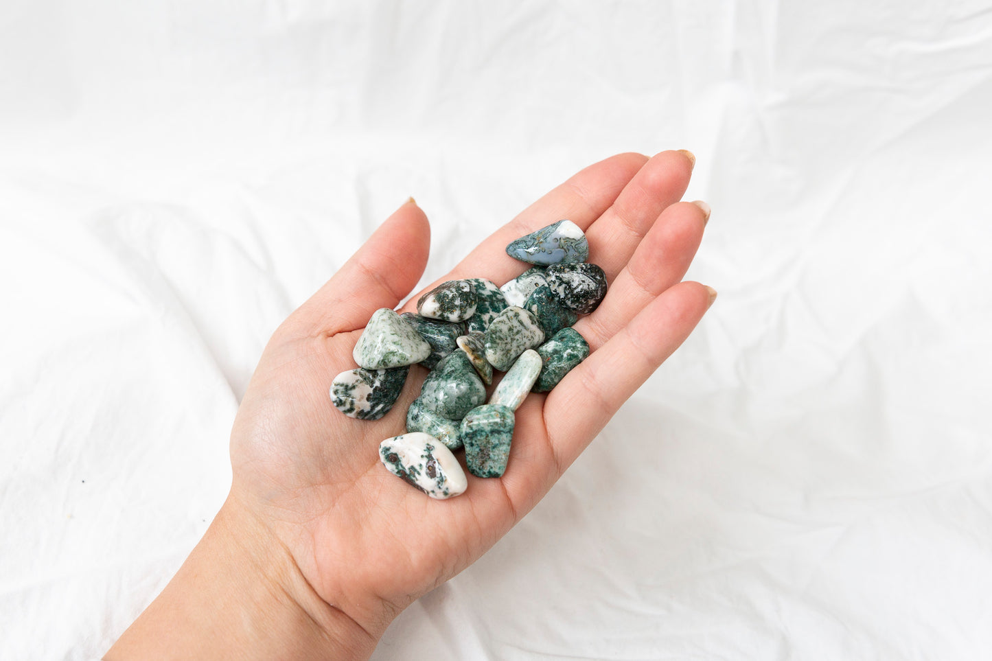Hand holding a small collection of green and white tree agate crystal tumblestones against a white background
