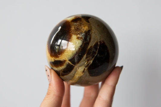 Septarian Sphere #2 - Premium Crystals + Gifts from Clarity Co. - NZ's Favourite Online Crystal Shop
