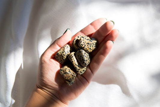 Dalmation Jasper XL Tumblestones - Premium Crystals + Gifts from Clarity Co. - NZ's Favourite Online Crystal Shop