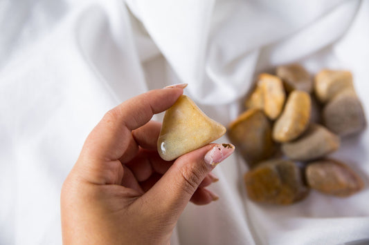 Agatized Coral XL Tumblestones - Premium Crystals + Gifts from Clarity Co. - NZ's Favourite Online Crystal Shop