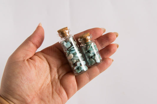 Chip Jars - Premium Crystals + Gifts from Clarity Co. - NZ's Favourite Online Crystal Shop