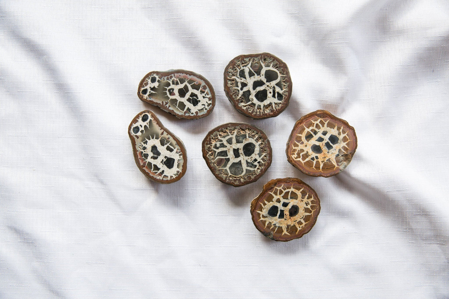 SEPTARIAN