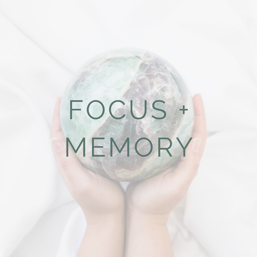 Focus + Memory