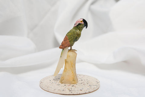 Crystal Parrot - Premium Crystals + Gifts from Clarity Co. - NZ's Favourite Online Crystal Shop