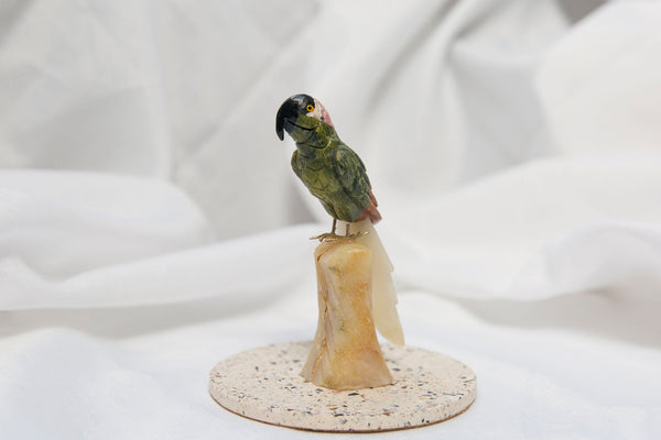 Crystal Parrot - Premium Crystals + Gifts from Clarity Co. - NZ's Favourite Online Crystal Shop