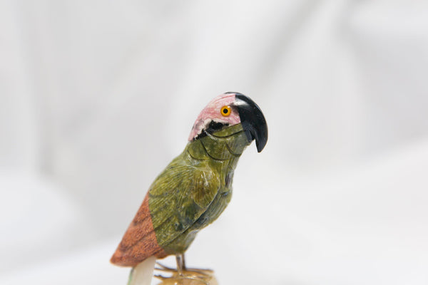 Crystal Parrot - Premium Crystals + Gifts from Clarity Co. - NZ's Favourite Online Crystal Shop
