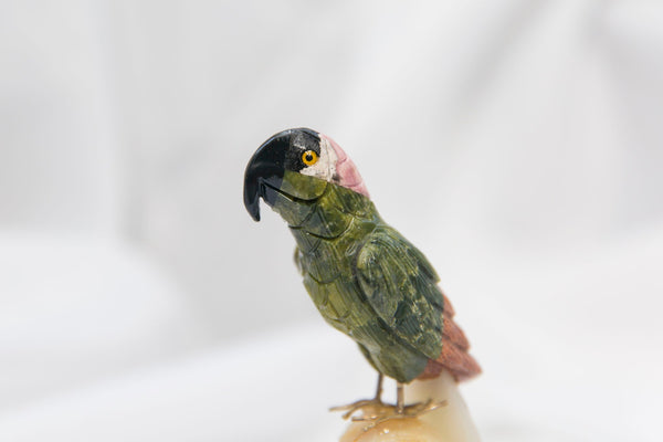Crystal Parrot - Premium Crystals + Gifts from Clarity Co. - NZ's Favourite Online Crystal Shop