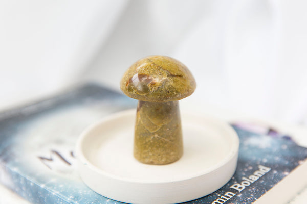 Green Opal Mushroom - Premium Crystals + Gifts from Clarity Co. - NZ's Favourite Online Crystal Shop
