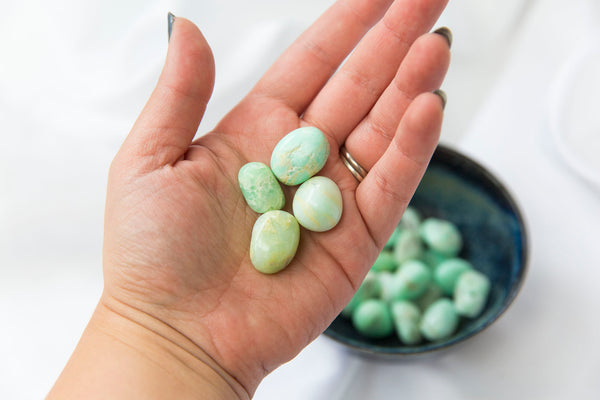 Bulgarian Green Opal Tumblestones - Premium Crystals + Gifts from Clarity Co. - NZ's Favourite Online Crystal Shop