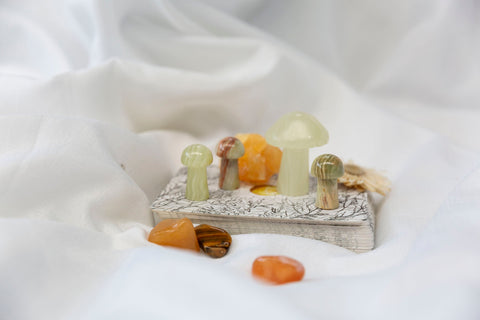 Banded Green Calcite Small Mushrooms - Premium Crystals + Gifts from Clarity Co. - NZ's Favourite Online Crystal Shop