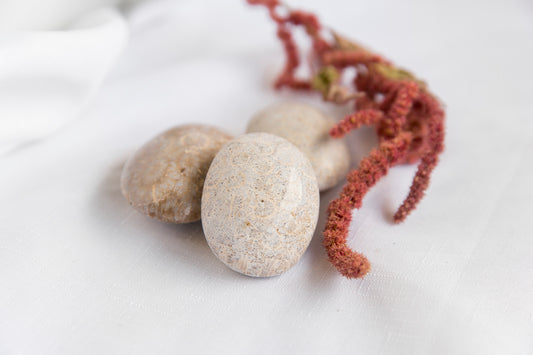 Agatized Coral Palmstones