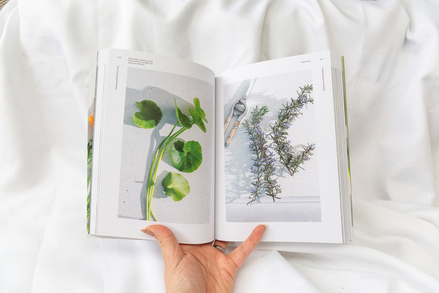 The Everyday Herbalist - Jane Wrigglesworth