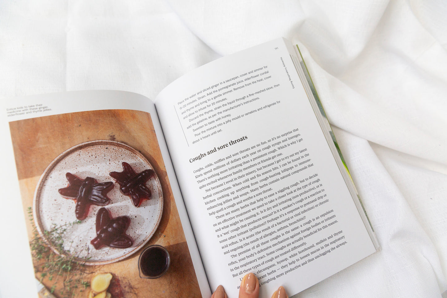 The Everyday Herbalist - Jane Wrigglesworth