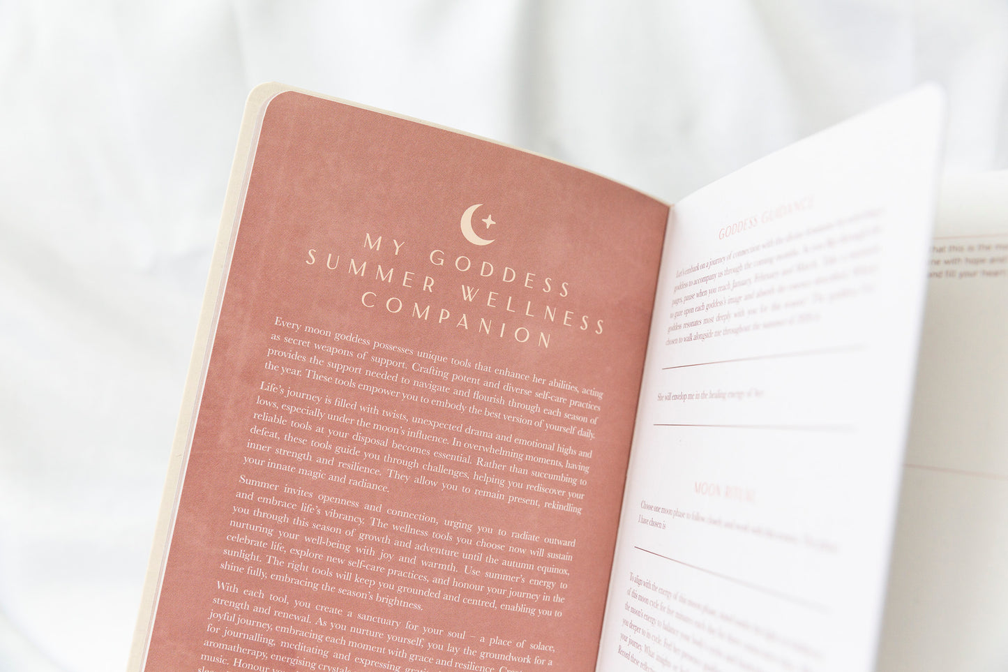 2026 Moon Goddess Diary - Nicci Garaicoa