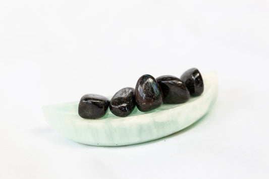 Five arfvedsonite stones on a crystal dish  with a white background
