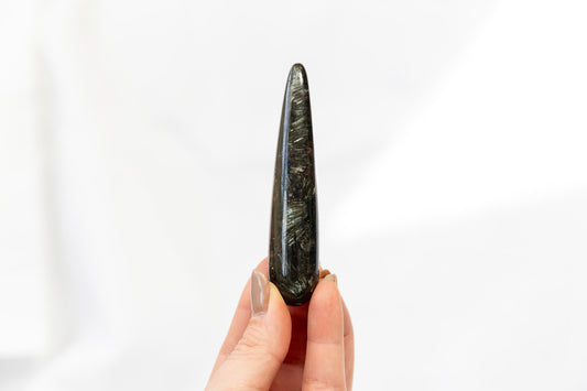 Hand holding a long, dark stone against a white background