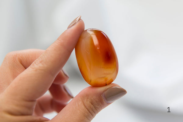 Carnelian Palmstones - Premium Crystals + Gifts from Clarity Co. - NZ's Favourite Online Crystal Shop