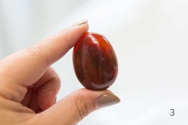 Carnelian Palmstones - Premium Crystals + Gifts from Clarity Co. - NZ's Favourite Online Crystal Shop
