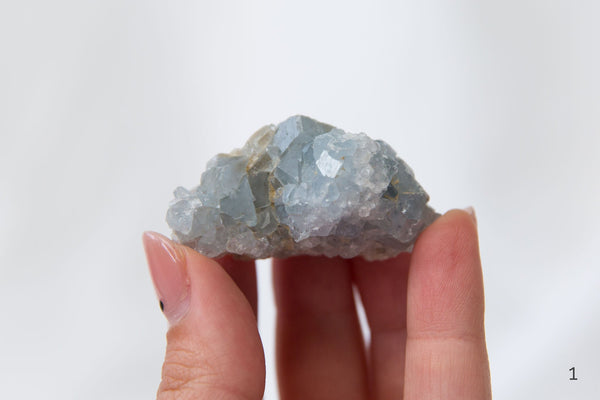 Celestite Clusters - Premium Crystals + Gifts from Clarity Co. - NZ's Favourite Online Crystal Shop