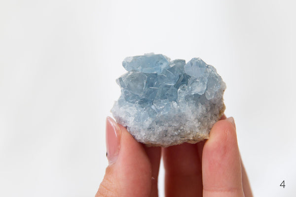 Celestite Clusters - Premium Crystals + Gifts from Clarity Co. - NZ's Favourite Online Crystal Shop