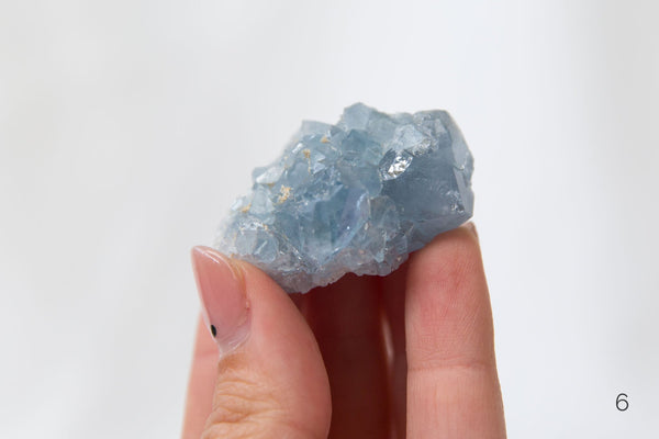 Celestite Clusters - Premium Crystals + Gifts from Clarity Co. - NZ's Favourite Online Crystal Shop
