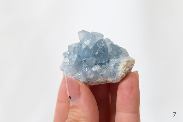 Celestite Clusters - Premium Crystals + Gifts from Clarity Co. - NZ's Favourite Online Crystal Shop