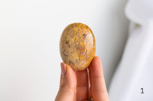 Crazy Lace Agate Palmstones