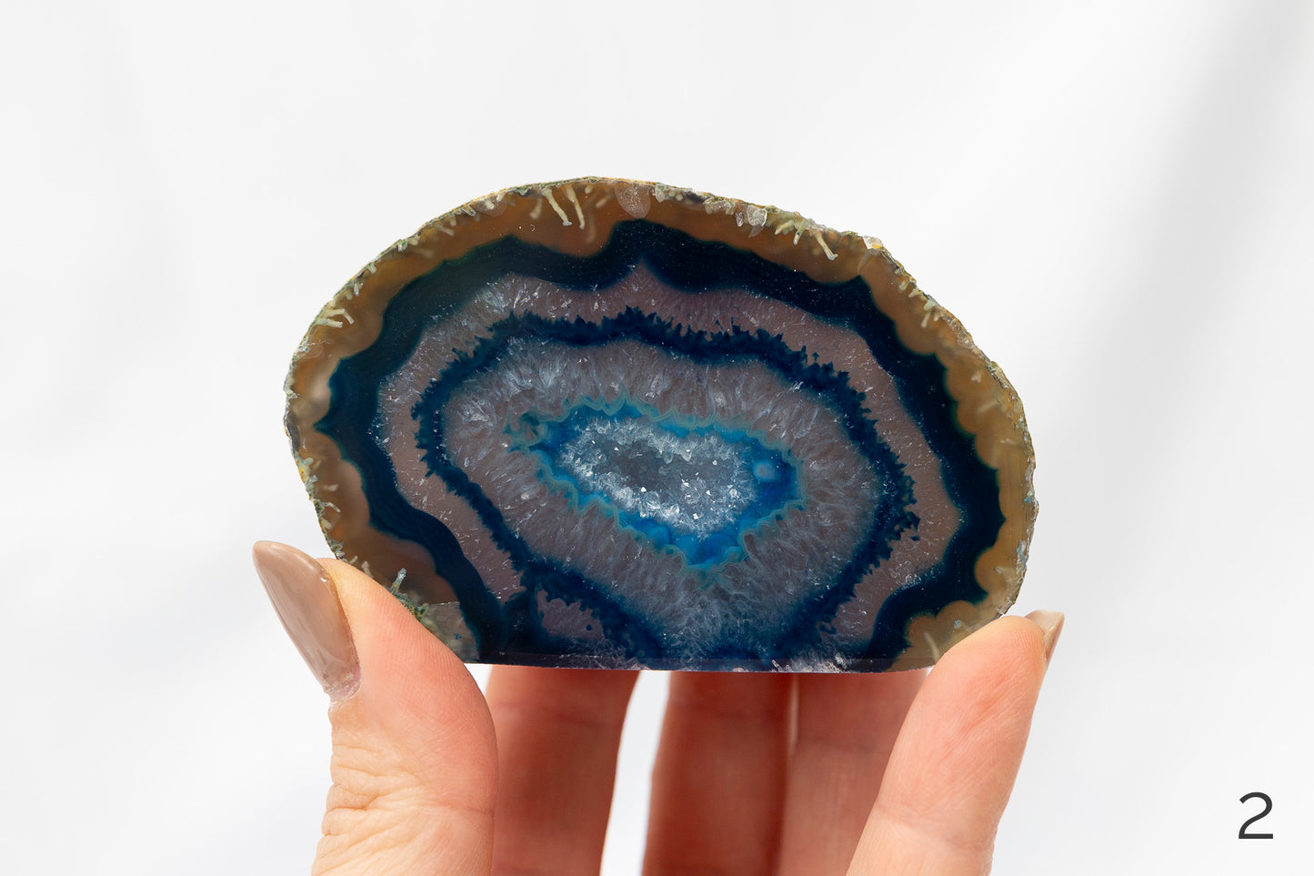 Hand holding a geode slice with blue and brown colors against a white background