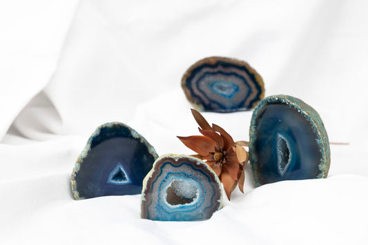 Geode slices with a plant on a white background