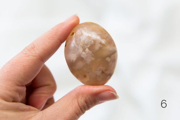 Flower Agate Palmstones - Premium Crystals + Gifts from Clarity Co. - NZ's Favourite Online Crystal Shop