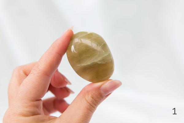 Garnierite Palmstones - Premium Crystals + Gifts from Clarity Co. - NZ's Favourite Online Crystal Shop