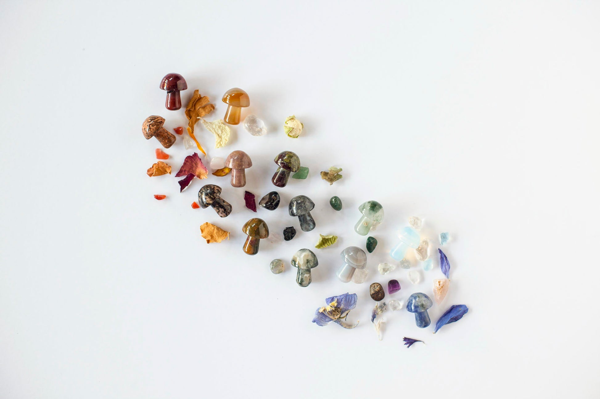 Assorted crystal mushrooms in a variety of crystal types on a white background surrounded by different coloured dried petals and crystal chips