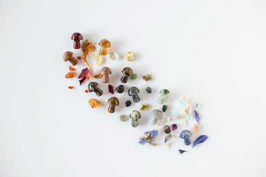 Assorted crystal mushrooms in a variety of crystal types on a white background surrounded by different coloured dried petals and crystal chips