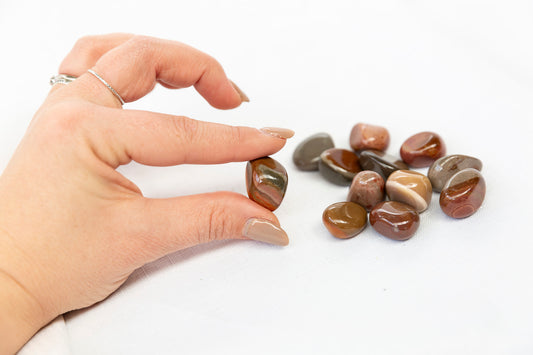 Hand holding a small brown stone with more stones on a white background