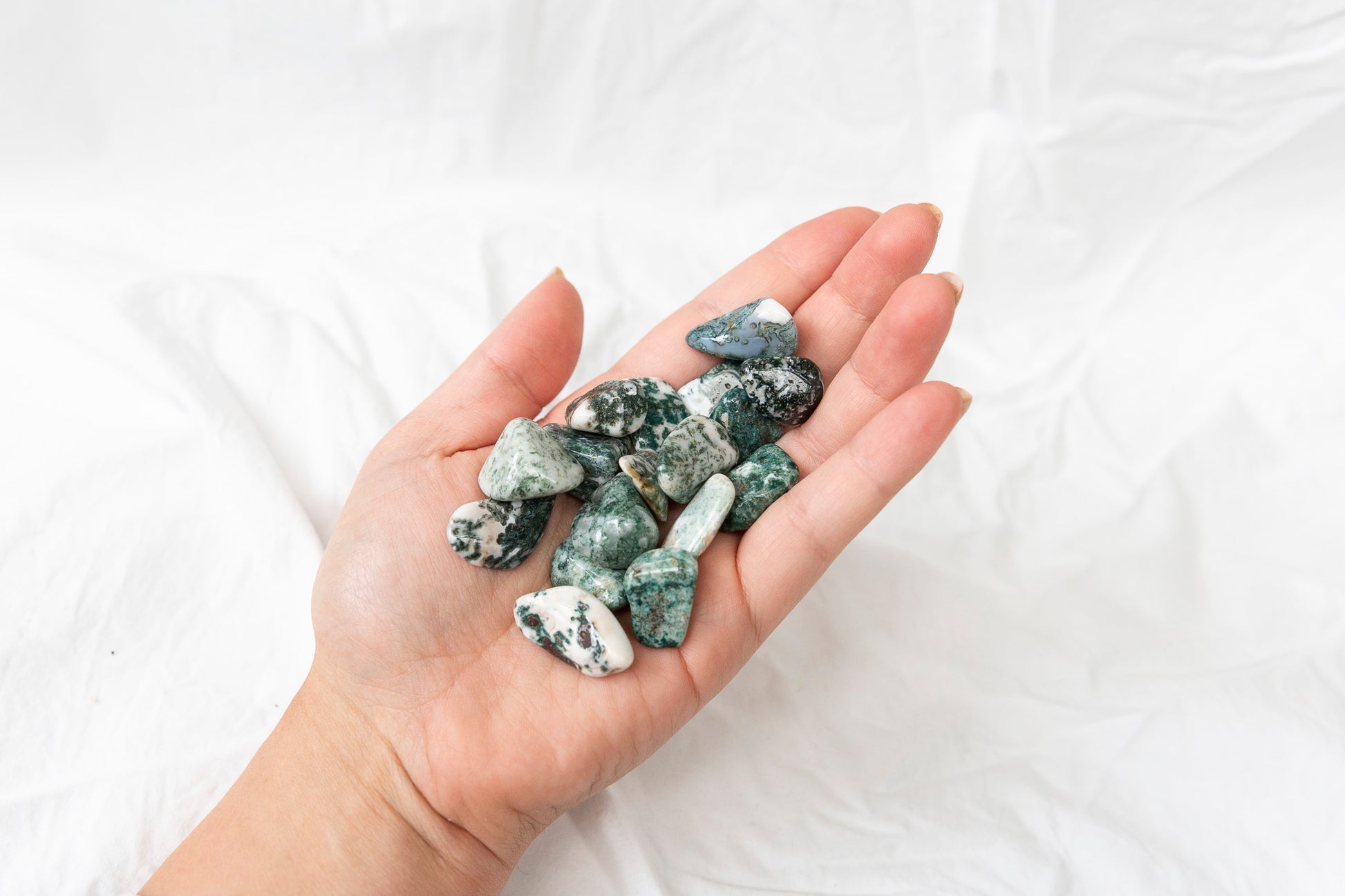 Hand holding a small collection of green and white tree agate crystal tumblestones against a white background