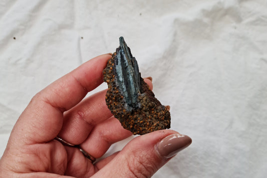 Hand holding a vivianite crystal specimen against a white fabric background