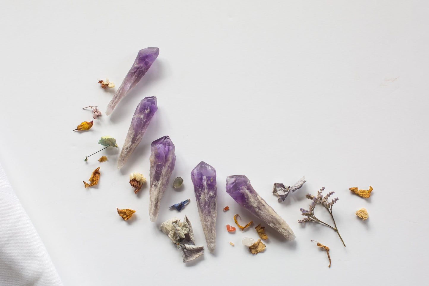 Bahia Dragon's Teeth/Amethyst Roots - Premium Crystals + Gifts from Clarity Co. - NZ's Favourite Online Crystal Shop