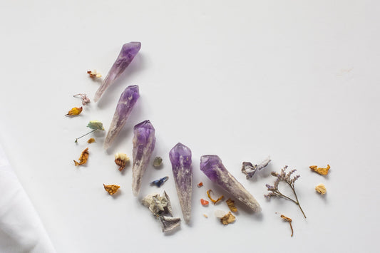 Bahia Dragon's Teeth/Amethyst Roots - Premium Crystals + Gifts from Clarity Co. - NZ's Favourite Online Crystal Shop