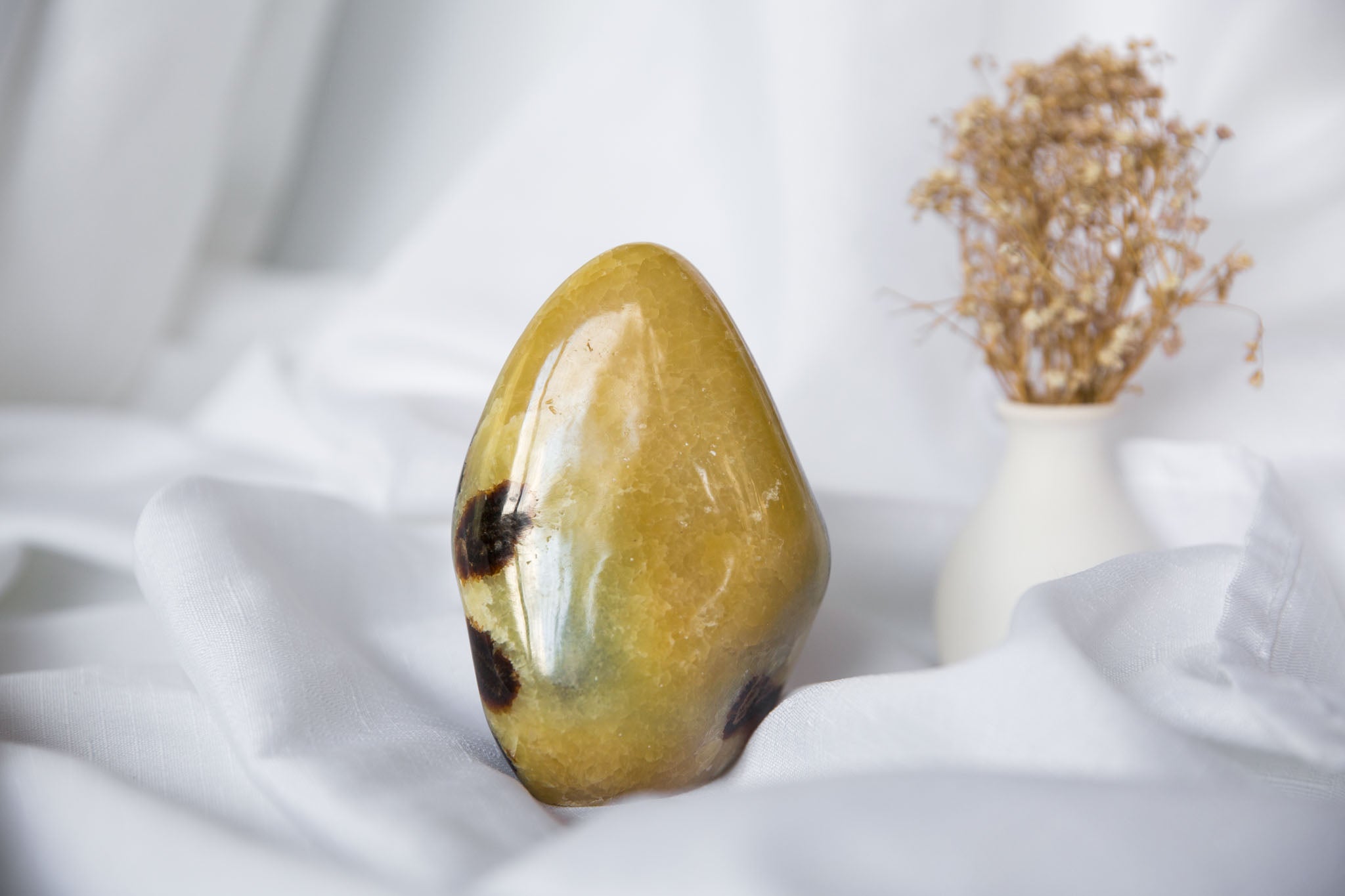 Septarian Freeform #2 - Premium Crystals + Gifts from Clarity Co. - NZ's Favourite Online Crystal Shop