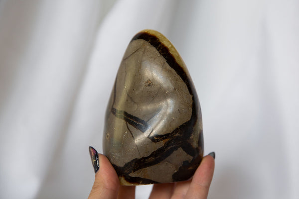 Septarian Freeform #2 - Premium Crystals + Gifts from Clarity Co. - NZ's Favourite Online Crystal Shop