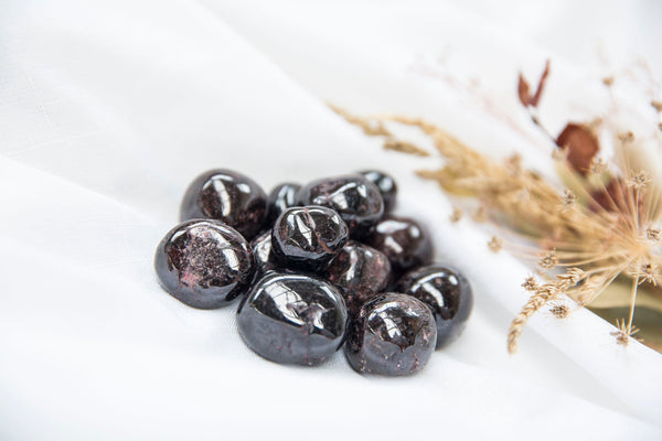 Garnet Tumblestones - Premium Crystals + Gifts from Clarity Co. - NZ's Favourite Online Crystal Shop